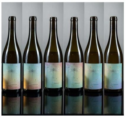 Probierpaket Zukunft